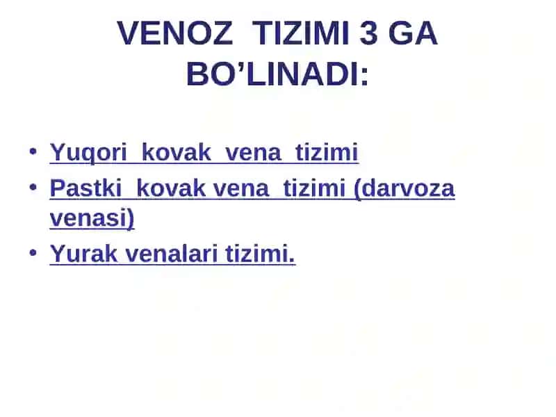 VENOZ TIZIMI 2