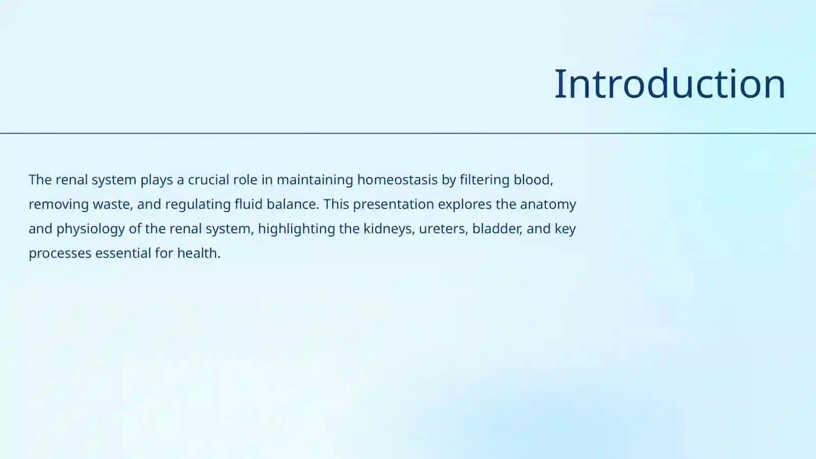 Renal System 2