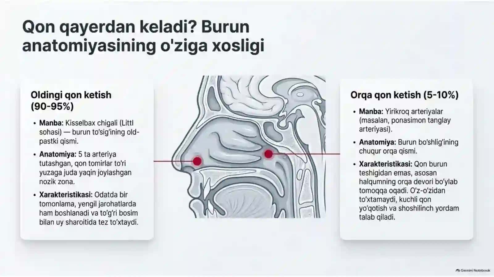 Burundan qon ketish Epistaksis 2