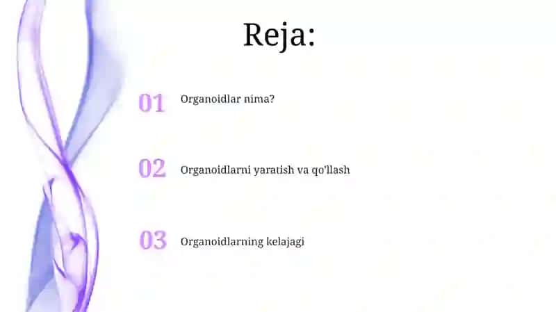 Organoidlar 2
