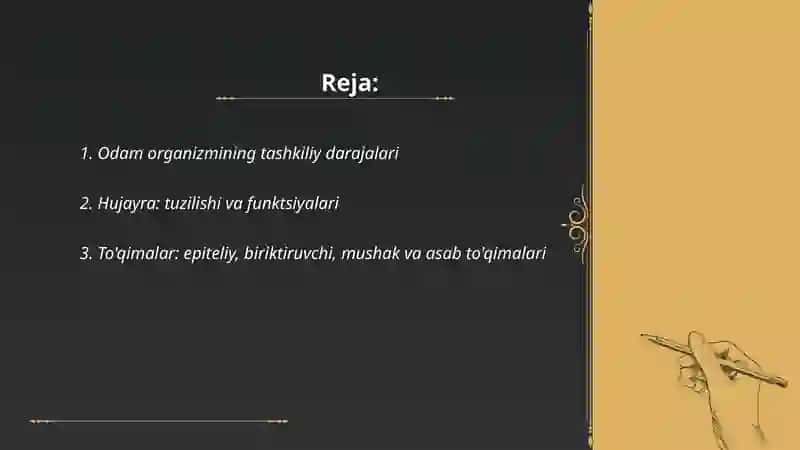 Odamlar organizmining tuzulishi 2