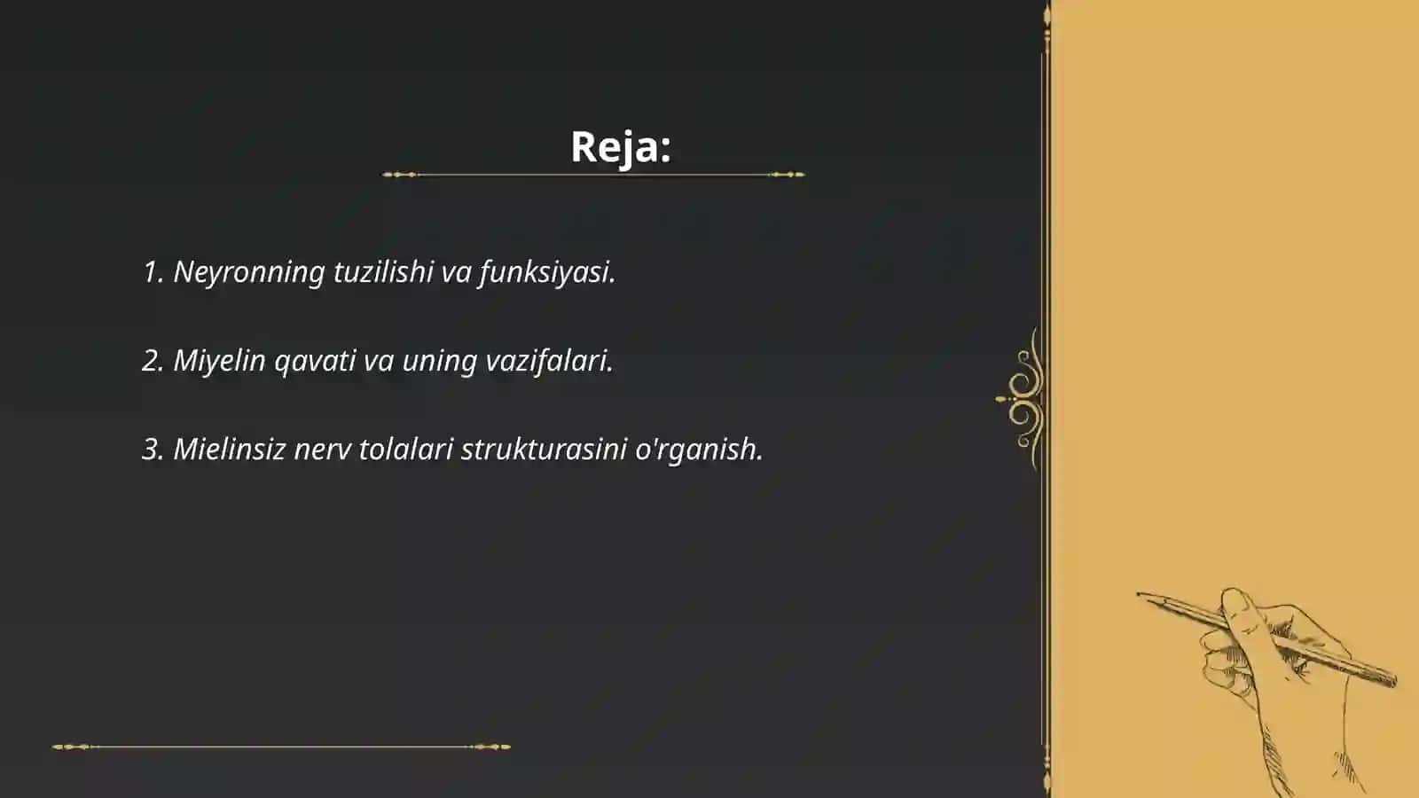 Neyron tuzilishi 2