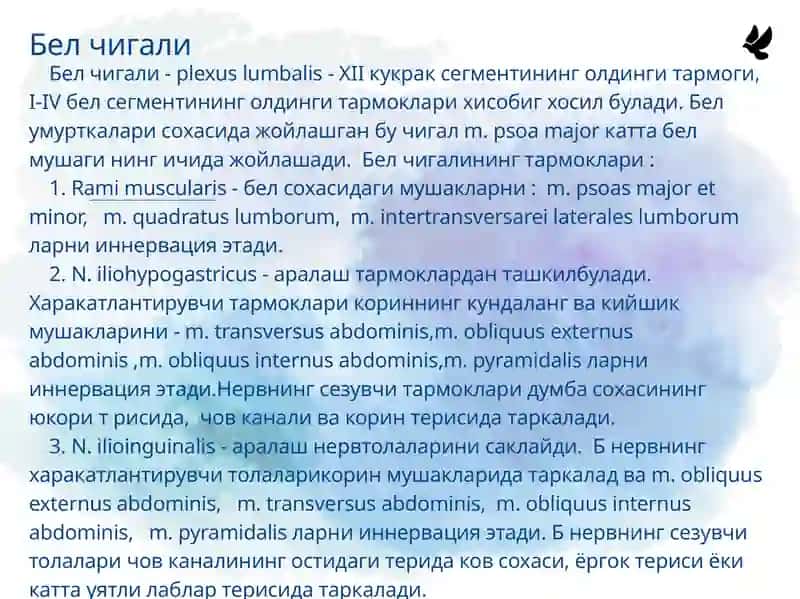Бел чигали 2