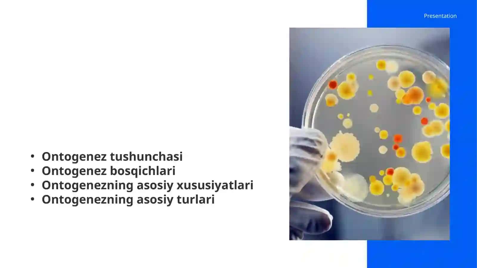 Hujayra ontogenizining rivojlanish bosqichlari 2