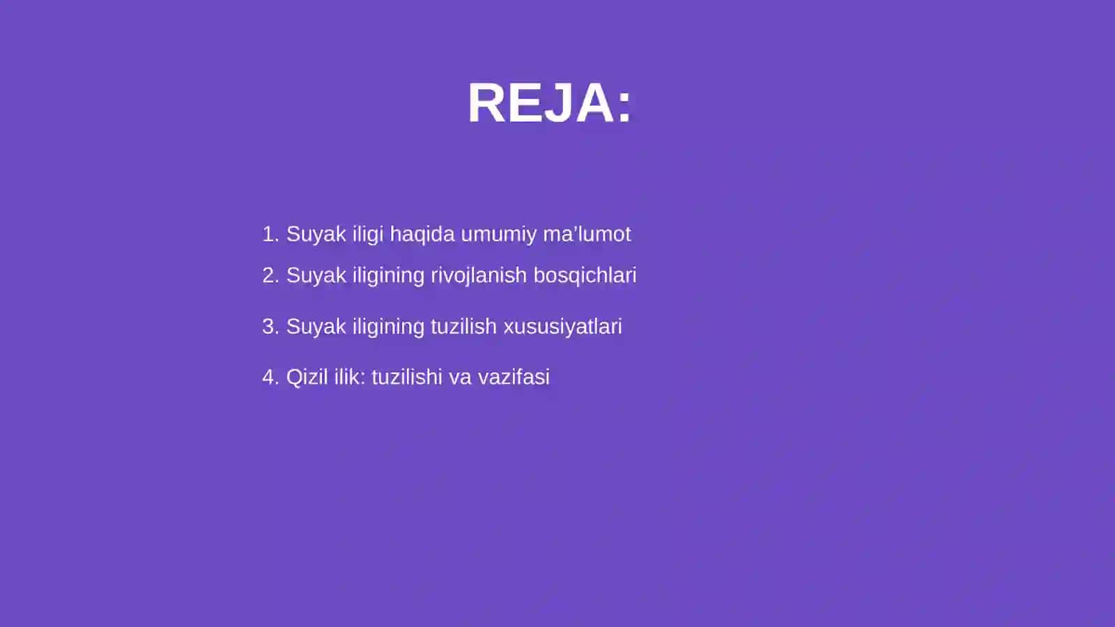 Suyak iligi 2