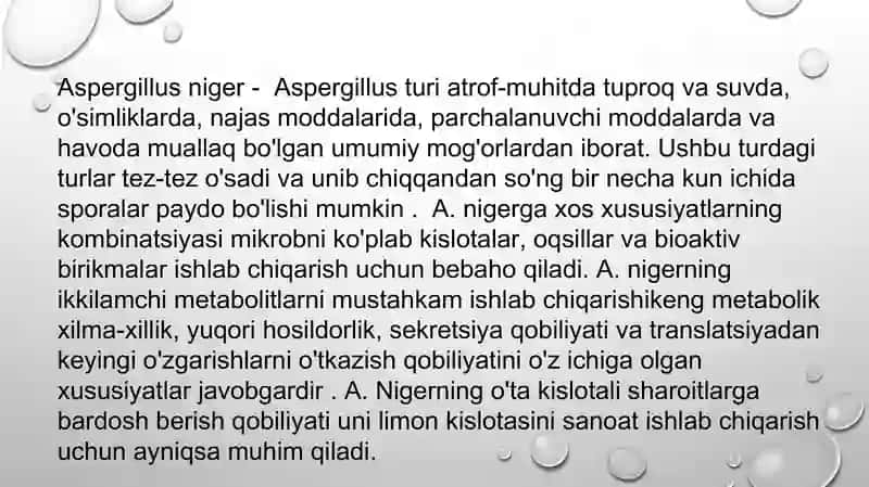 Aspergellusniger 2