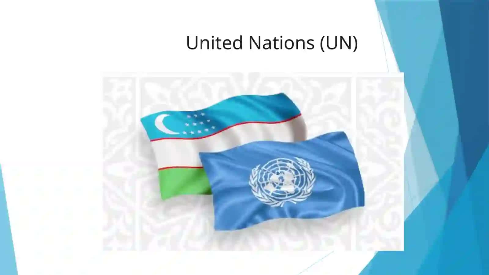 International organization 2