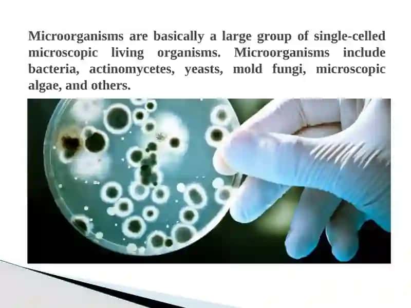 Distribution of microorganisms in nature 2