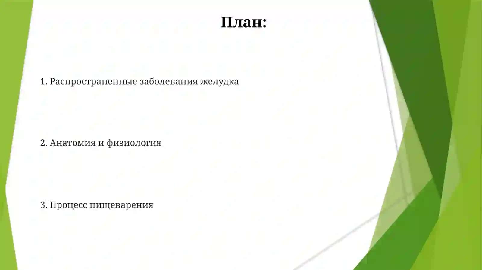 Желудок 2