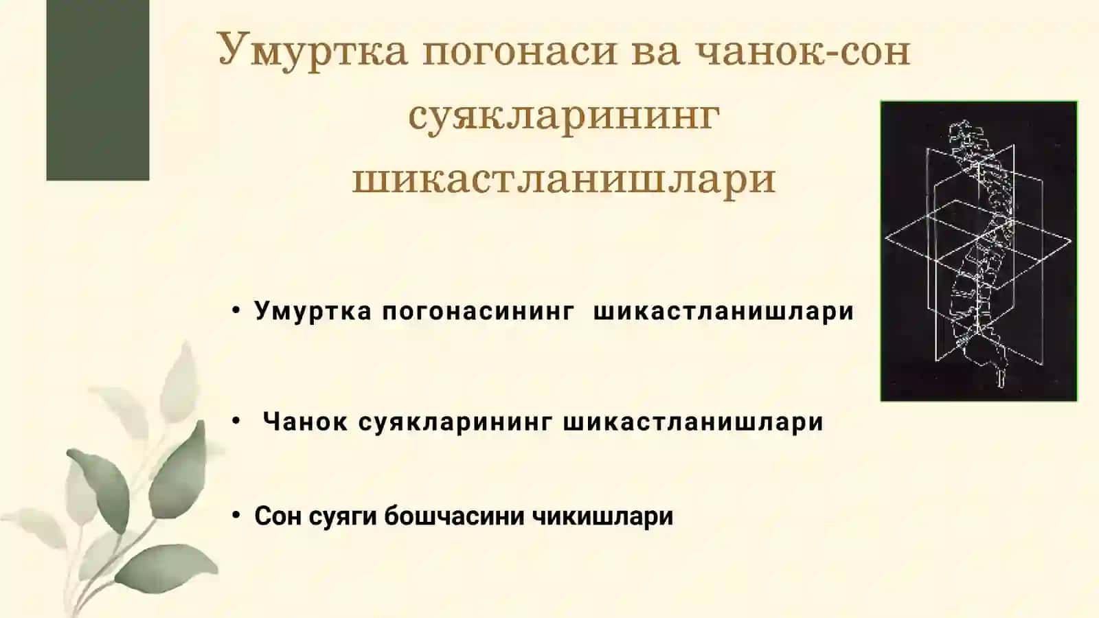 Умуртка погонасининг шикастланишлари 2