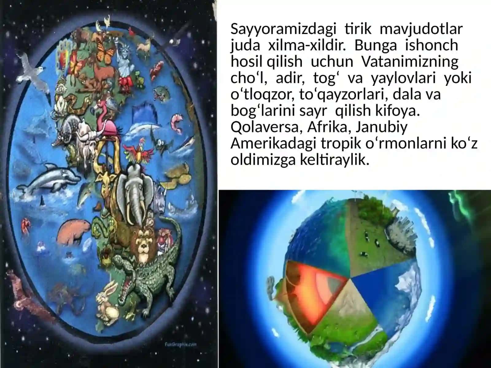 Sinflar bo'yicha biologiya darsi 2