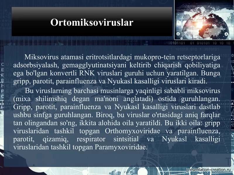 Ortomiksoviruslar 2