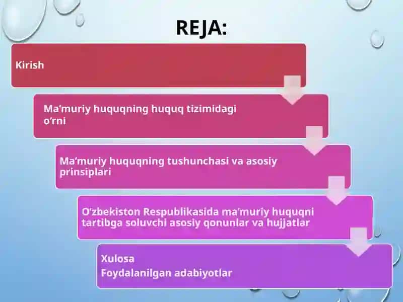 Ma’muriy huquqning O’zbekiston Respublikasi huquq tizimi 2