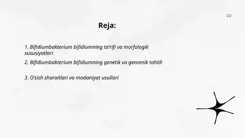 Bifidiumbakterium bifidium 2