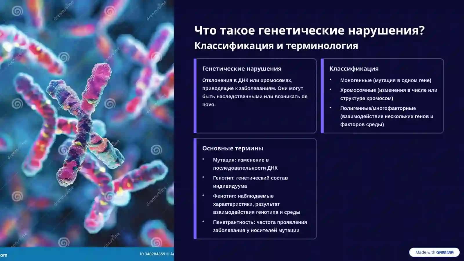 Генетические нарушения 2