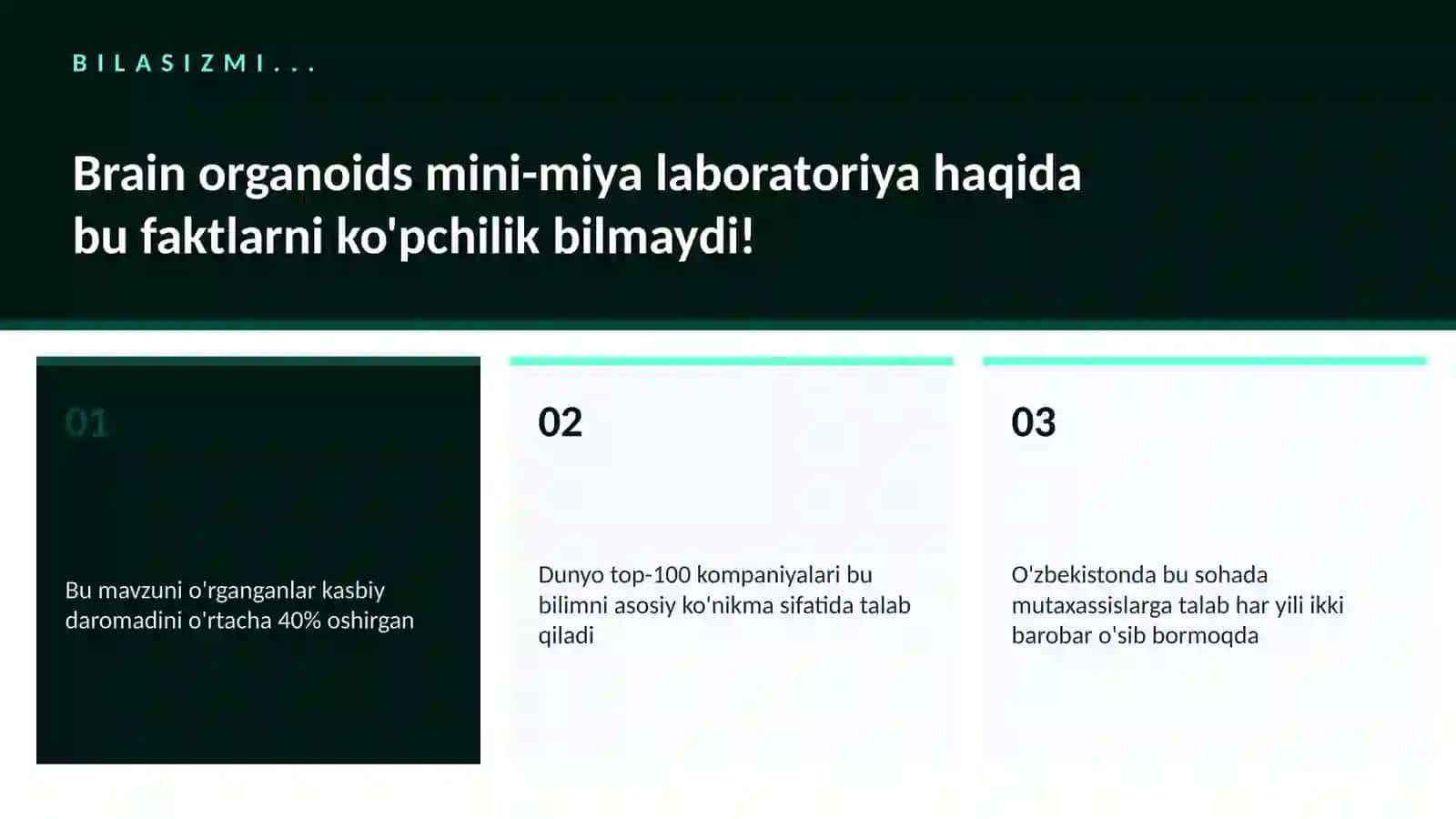 Brain organoids mini-miya laboratoriya 2