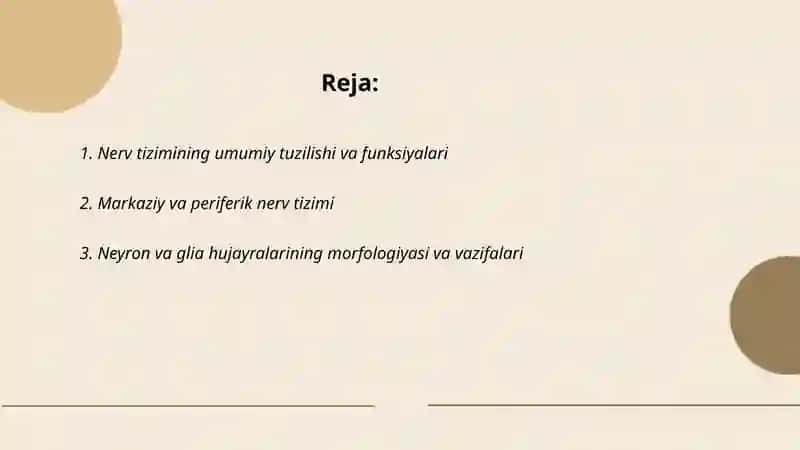 Nerv tizmi.Orqa miya.Bosh miya nervlari 2