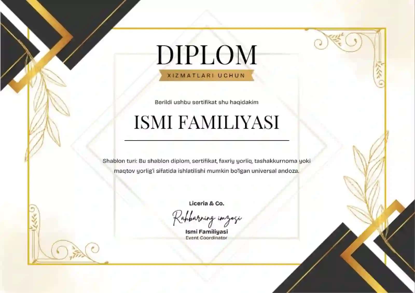 DIPLOM 2