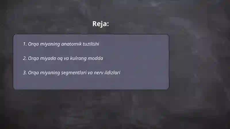 Orqa miya 2