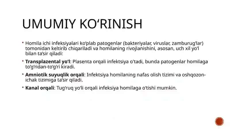 HOMILA ICHI INFEKSIYALARI 2