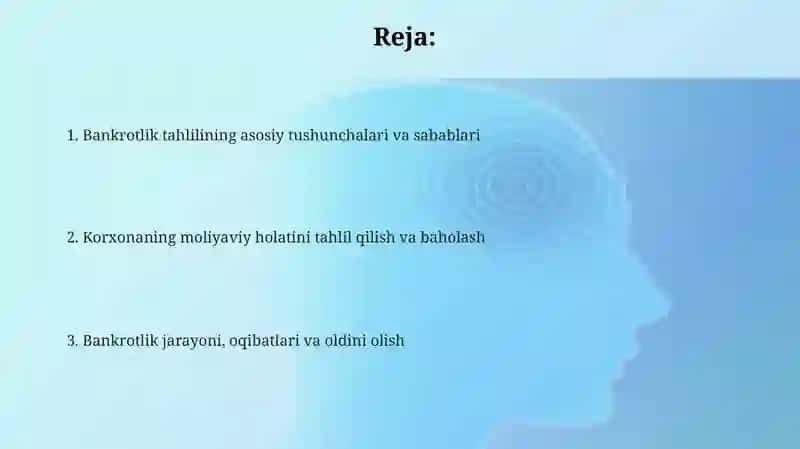 Korxona iqtisodiy nochorligi (bankrotligi)ni taxlil qilish 2