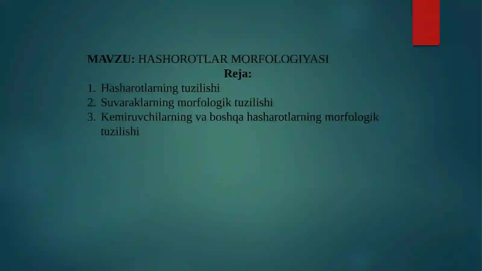 HASHOROTLAR MORFOLOGIYASI 2
