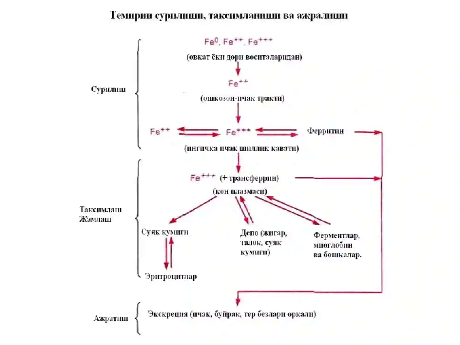 Темир етишмаслиги туфайли ривожланадиган анемияни даволаш воситалари 2
