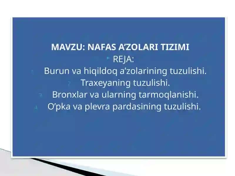 NAFASA’ZOLARI TIZIMI 2
