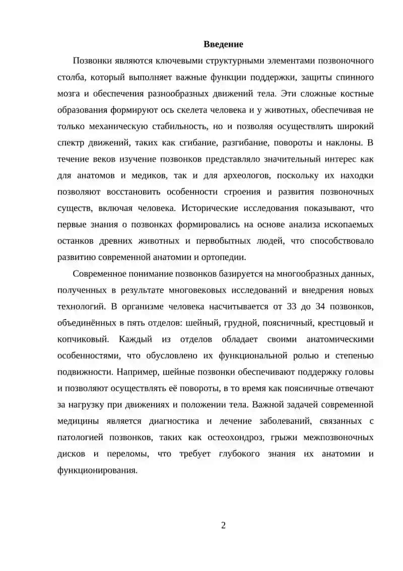 Анатомия и строение позвонков 2