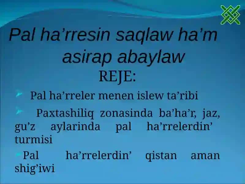 Pal ha’rreler va ularning ishlatilishi 2