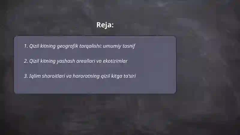 Qizil kit 2
