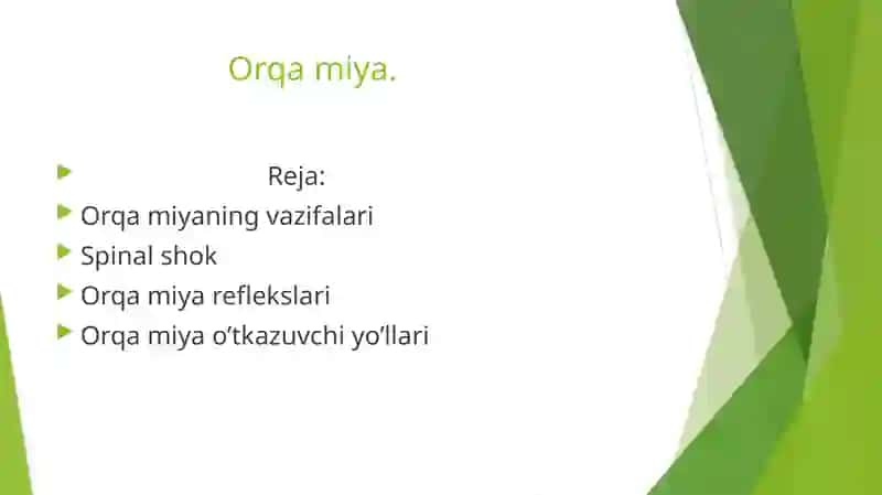 Orqamiya 2
