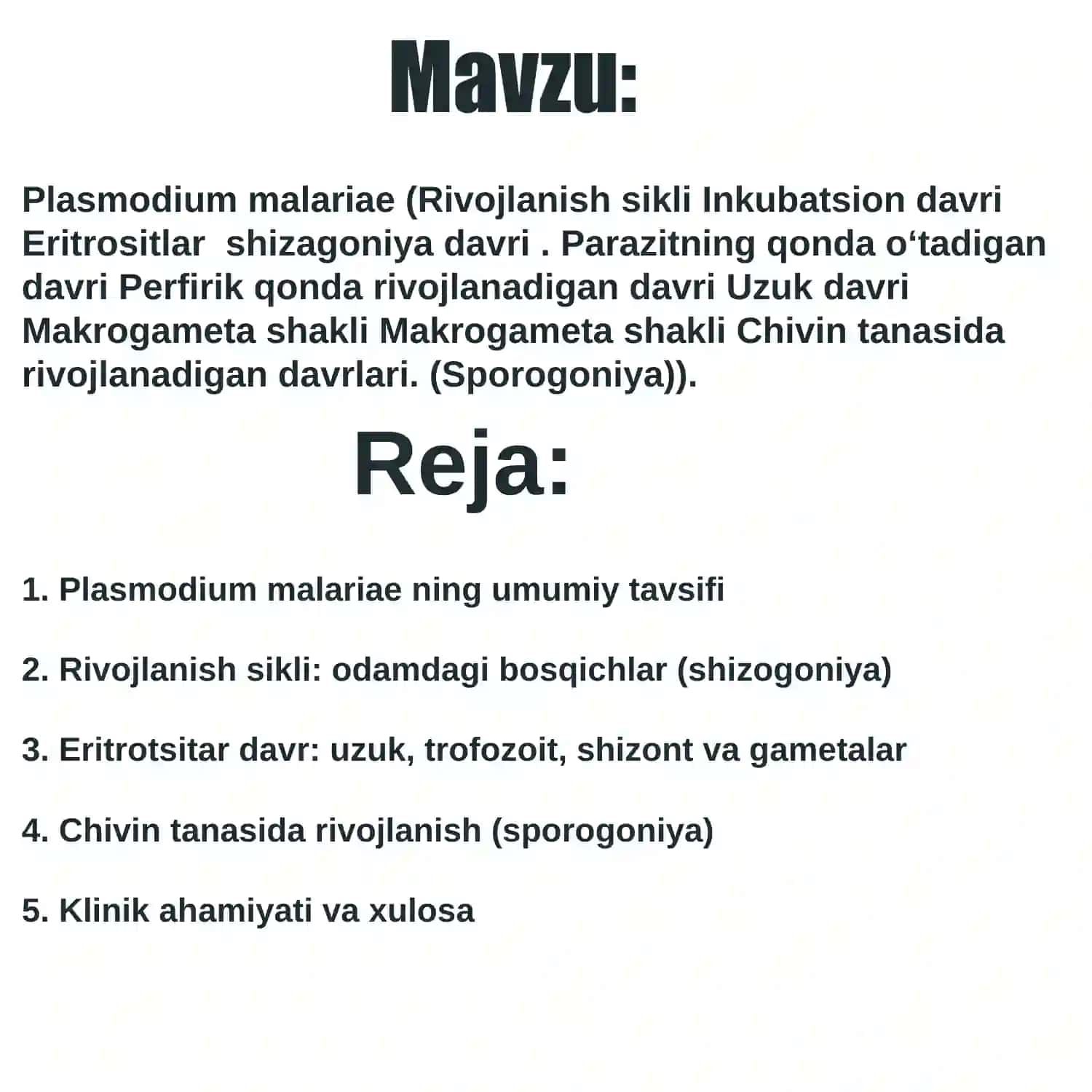 Plasmodium malariae 2