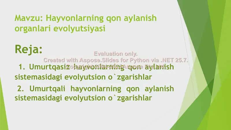 "Hayvonlarning qon aylanish organlarining evolyutsiyasi" 2
