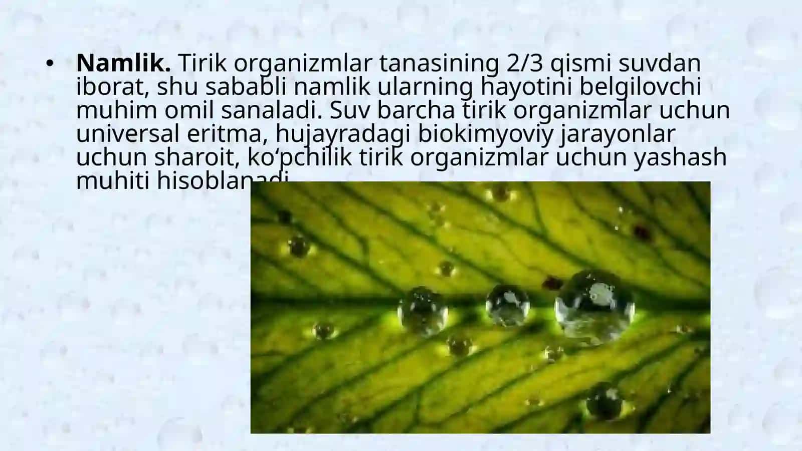 Namlik ekologik omil sifatida 2