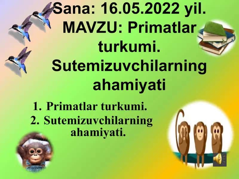 Primatlar turkumi. Sutemizuvchilarning ahamiyati 2