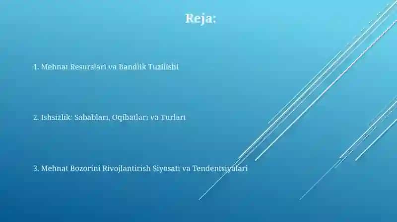Mehnat Resurslari va Bandlik Tuzilishi 2