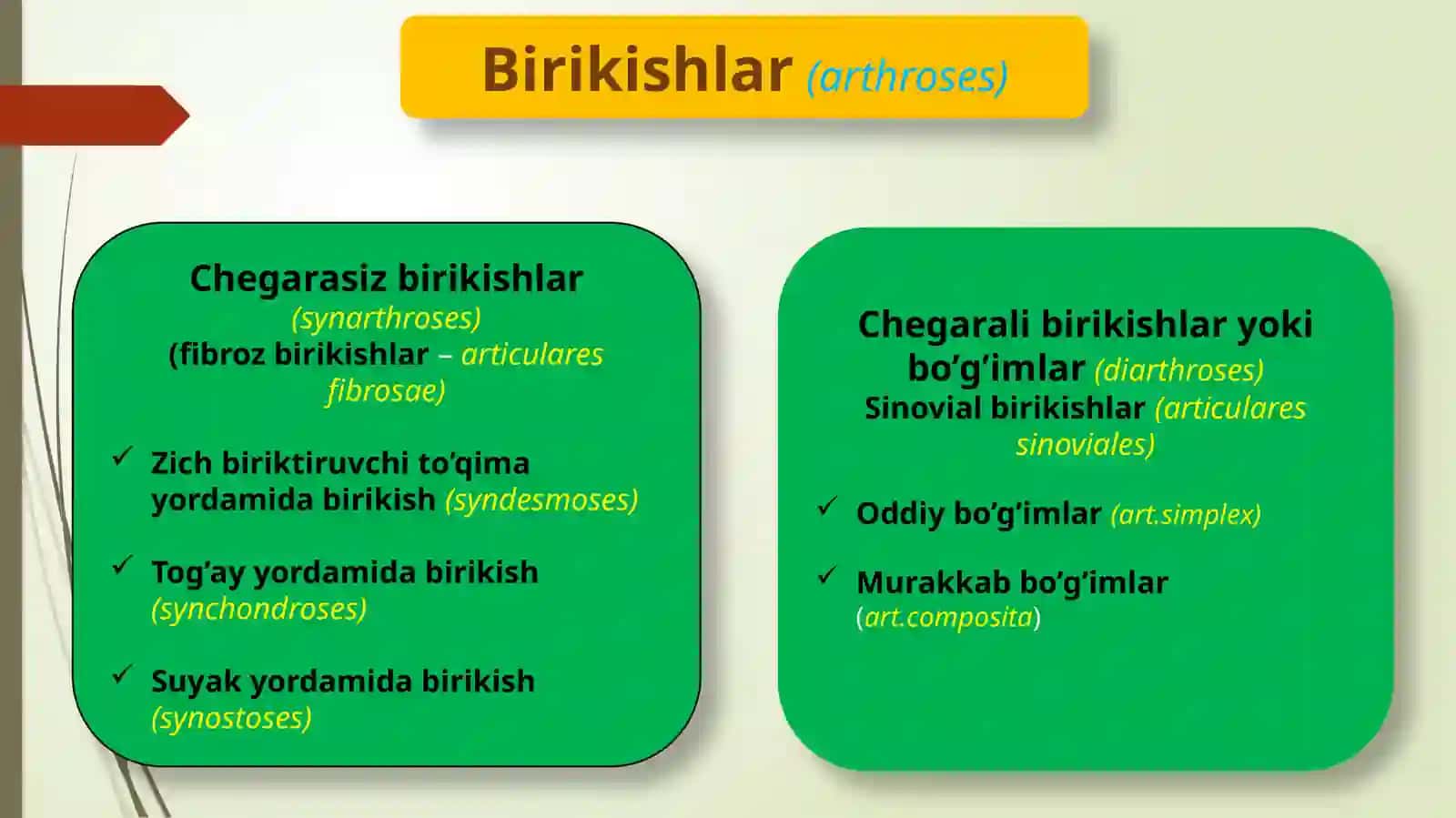 Artrosindesmologiyaga kirish. Umurtqa pog’onasi birikishi va boylamlari 2