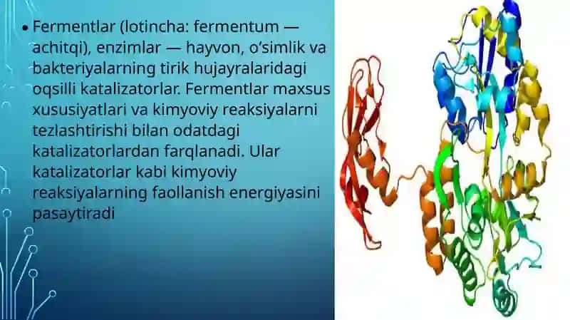 fermentliBiosenorlar 2
