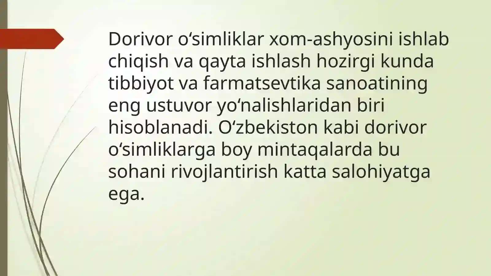 Dorivor oʻsimliklar xom-ashyosini ishlab chiqish istiqbollari va muammolari 2