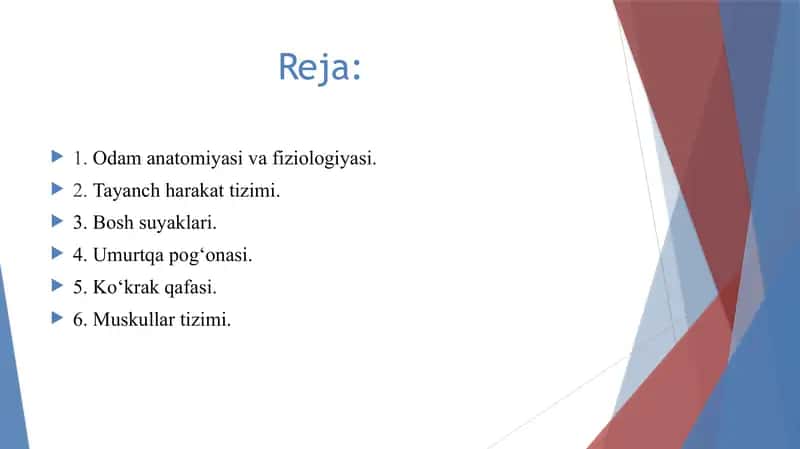 Odam anatomiyasi va fiziologiyasi. 2