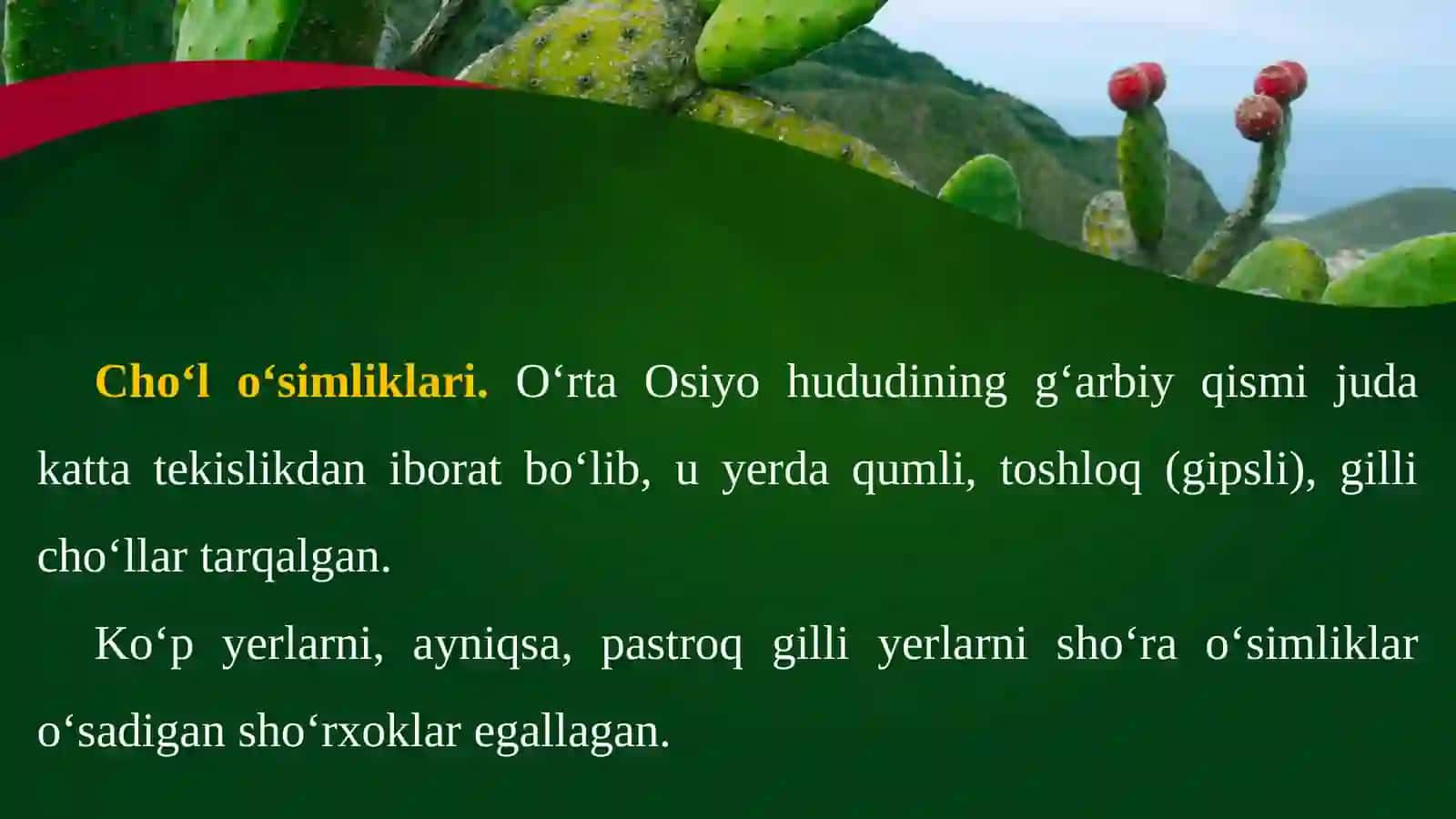 O’rta Osiyo cho‘l o‘simliklari 2