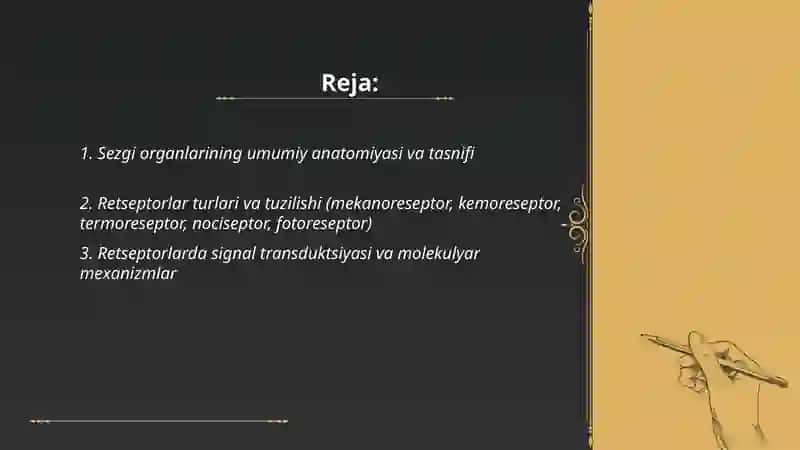 Inson sezgi organlari anatomiyasi, fizialogiyasi va patalogiyasi 2