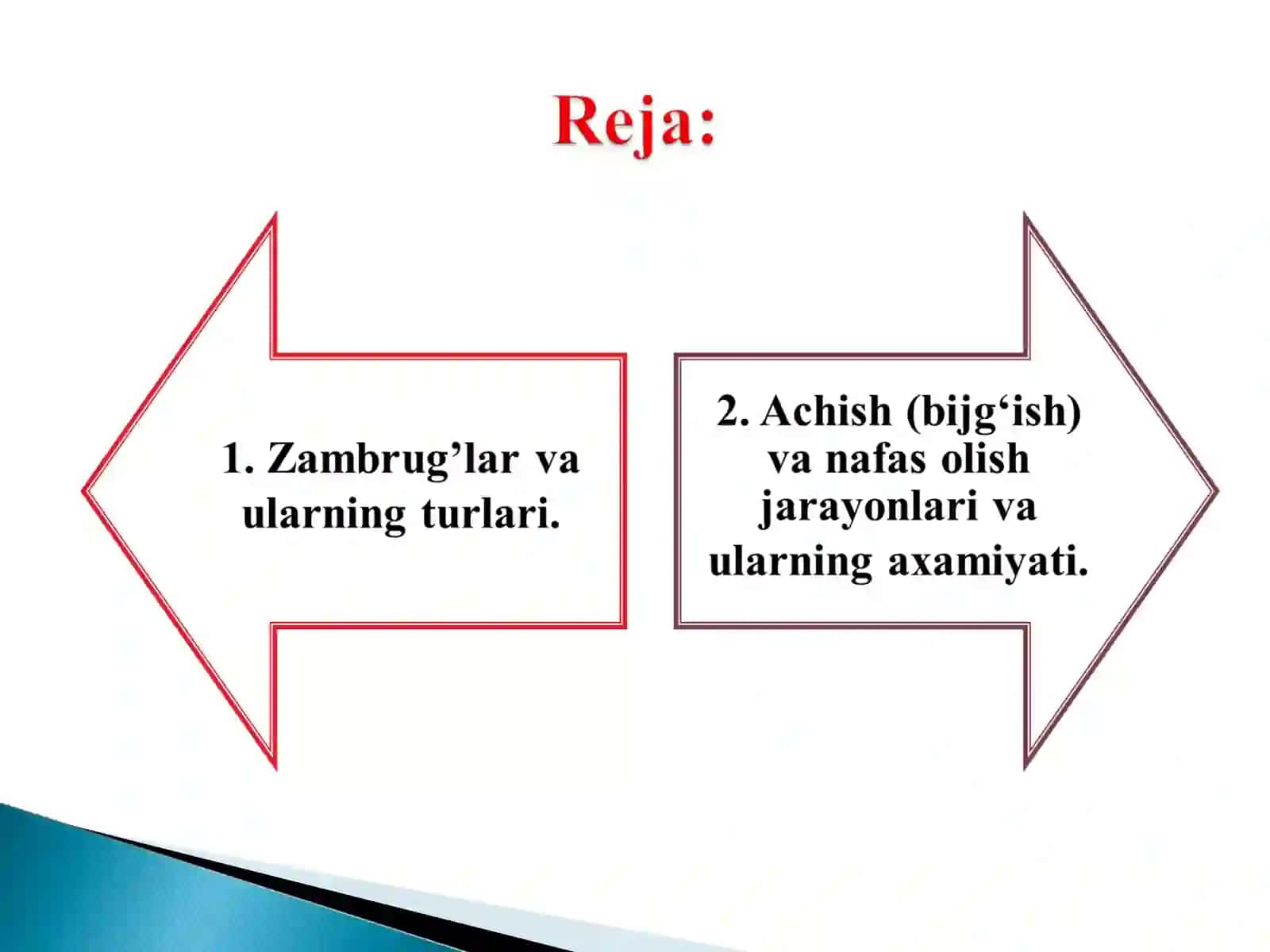 Mog’or zambrug’lari va achitqilar 2