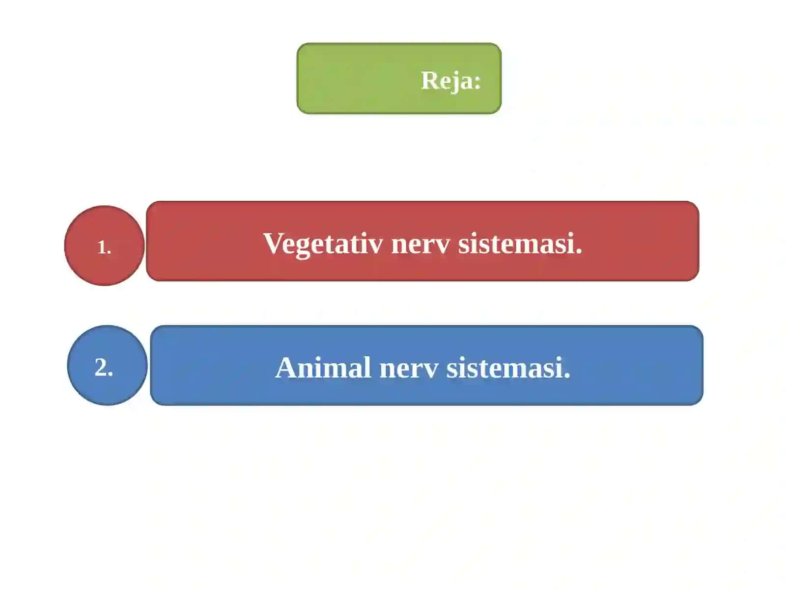 Vegetativ nerv sistemasi 2