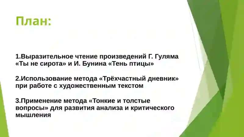 Выразительное чтение Г.Гулям «Ты не сирота» Использование «Трёхчастный дневник» И.Бунин «Тень птицы» Использование метода «Тонкие и толстые вопросы» 2