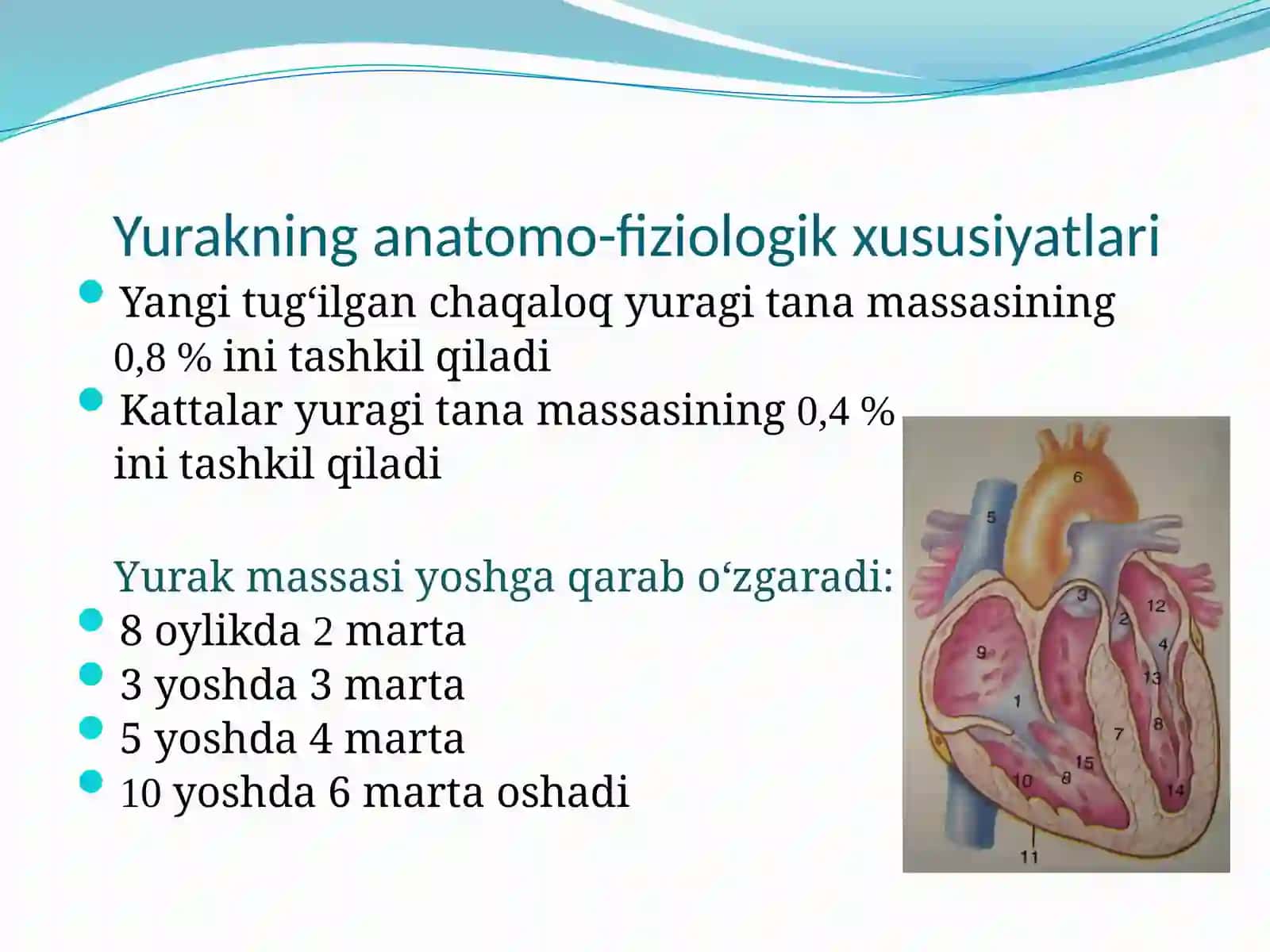 bolalarning yurak faoliyatini tekshirish 2