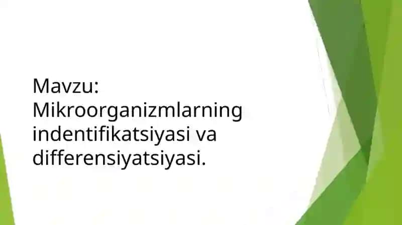 Mikroorganizmlarning indentifikatsiyasi va differensiyatsiyasi 2