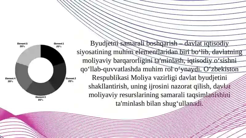 O‘zbekiston Respublikasi Moliyavazirligining byudjet sohasini boshqarish dagi vakolatlari 2