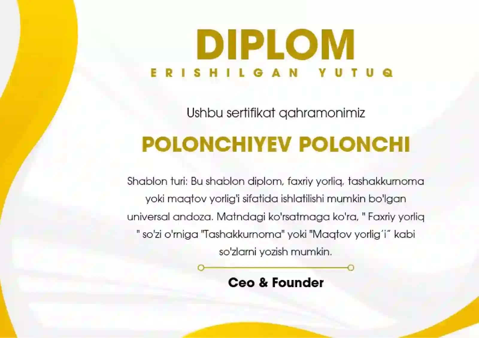 DIPLOM 2